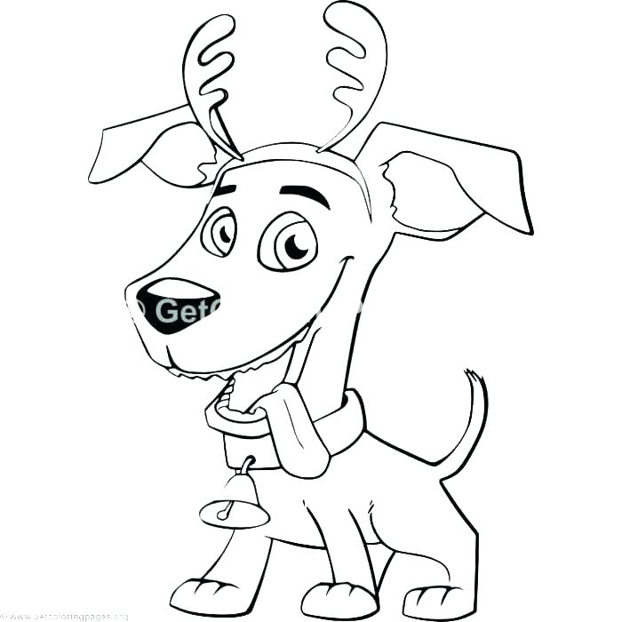 700x700 Coloring Pages Cats Coloring Pages Dogs And Cats Coloring Pages