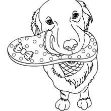 Cute Dog Coloring Pages 220x220 Cute Dog Coloring Pages