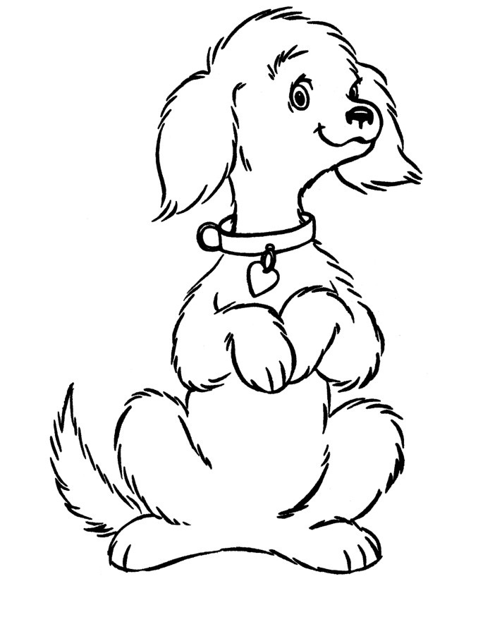 Free Printable Dog Coloring Pages For Kids 712x875 Free Printable Dog Coloring Pages For Kids