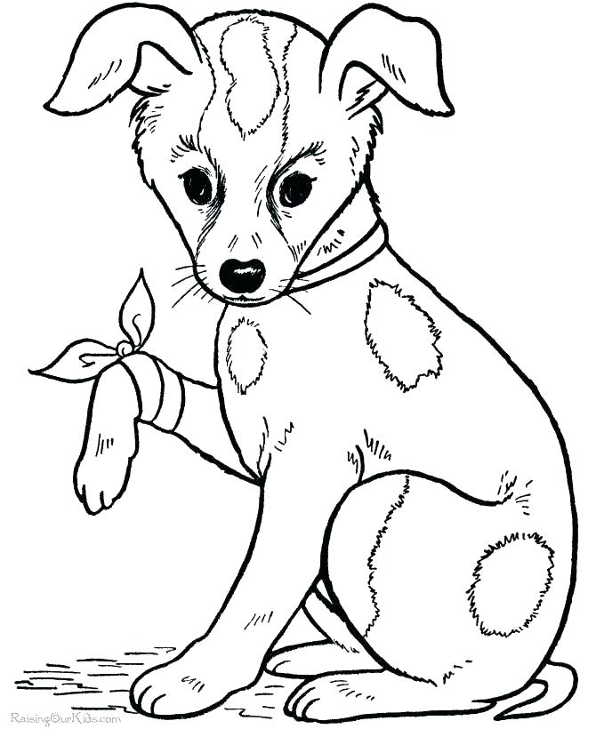Cute Dog Coloring Pages Dog Coloring Pictures Big Coloring Pages 670x820 Cute Dog Coloring Pages Dog Coloring Pictures Big Coloring Pages