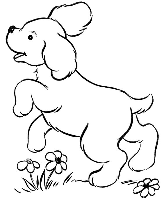 564x690 Cute Dog Coloring Pages Printable Coloring Page