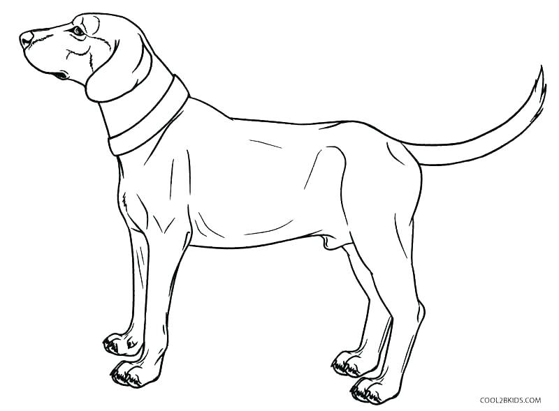 800x589 Dog Coloring Pages Printable