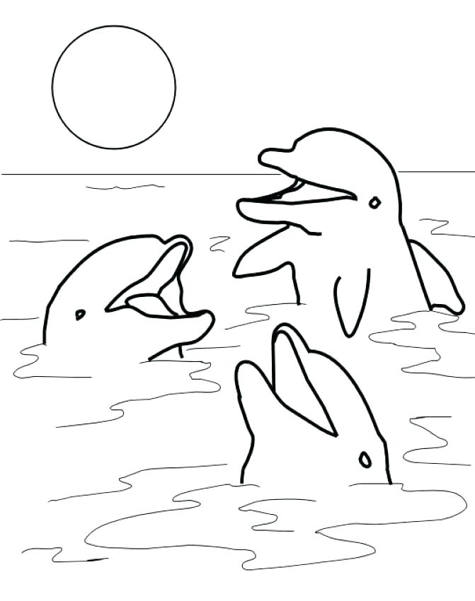 671x850 Cute Dolphin Coloring Pages Colouring Sheets Coloring Collection