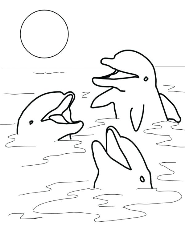 600x760 Cute Dolphin Coloring Pages Free Printable Winter The Dolphin