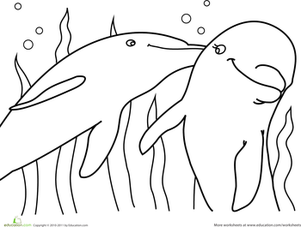 301x227 Cute Dolphin Worksheet