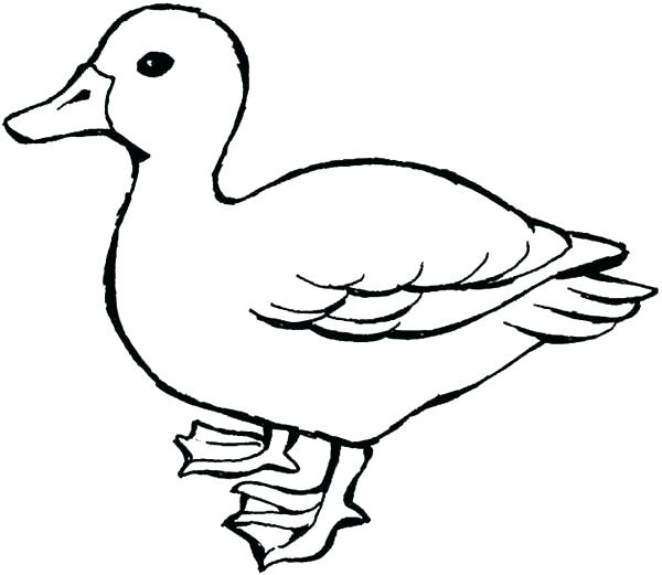 600x521 Cute Duck Coloring Pages Cute Duck Coloring Page Cute Duck Cute