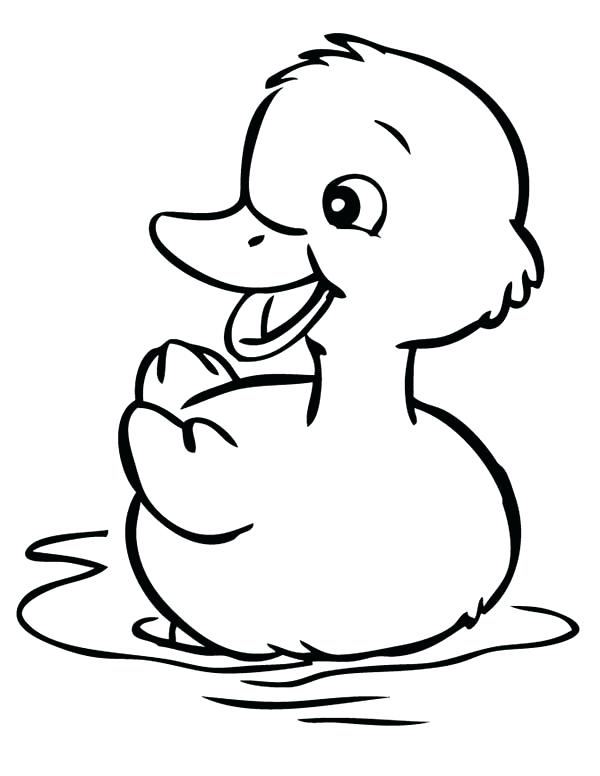 600x776 Duck Coloring Pages Cute Little Duck Coloring Page Daffy Duck