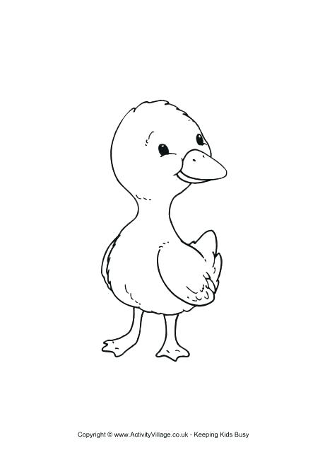 460x650 Baby Duck Coloring Pages Cute Duck Coloring Pages Duckling