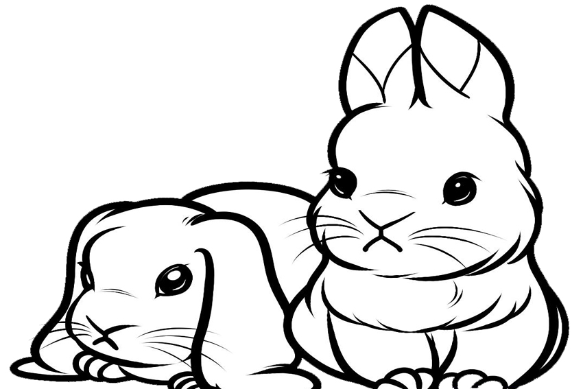 Color In A Bunny Coloring Page In Stead Of Buying Some Pets 850x567 Color In A Bunny Coloring Page In Stead Of Buying Some Pets