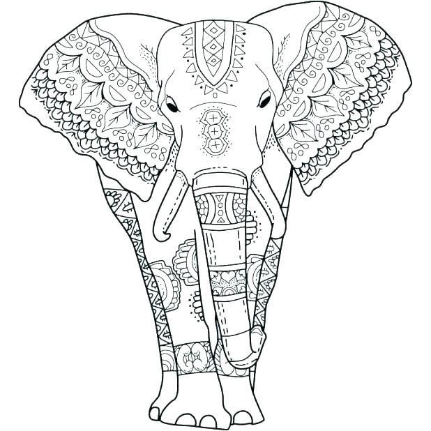 618x618 Cute Elephant Coloring Pages Cute Printable Coloring Pages Warm