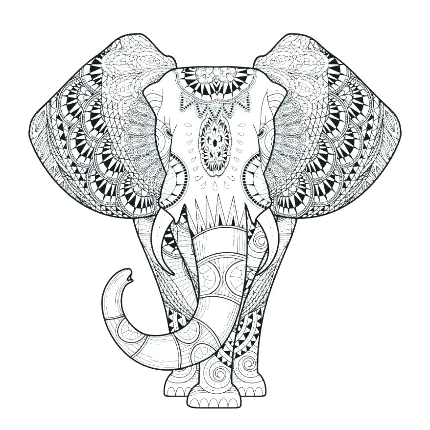 878x878 Cute Elephant Coloring Pages With Cute Baby Elephant Coloring Es E
