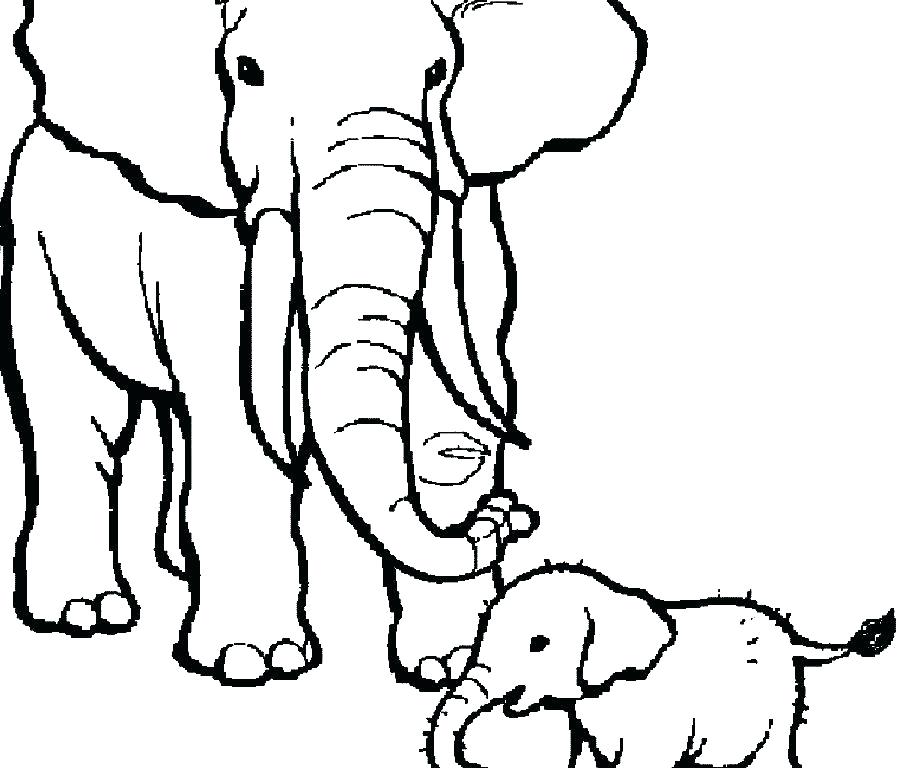900x768 Mother And Baby Elephant Coloring Pages