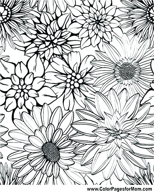 Advanced Flower Coloring Pages Flower Coloring Pages For Adults 640x799 Advanced Flower Coloring Pages Flower Coloring Pages For Adults