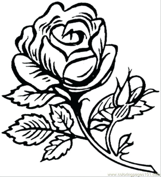 Cute Flower Coloring Pages Pretty Flower Coloring Pages Flower 650x715 Cute Flower Coloring Pages Pretty Flower Coloring Pages Flower
