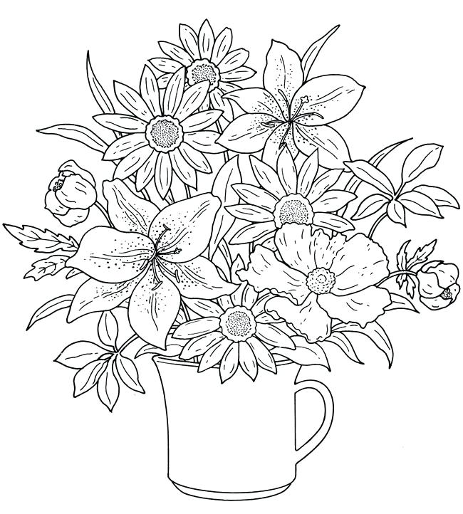 Flower Coloring Pages Free 650x722 Flower Coloring Pages Free