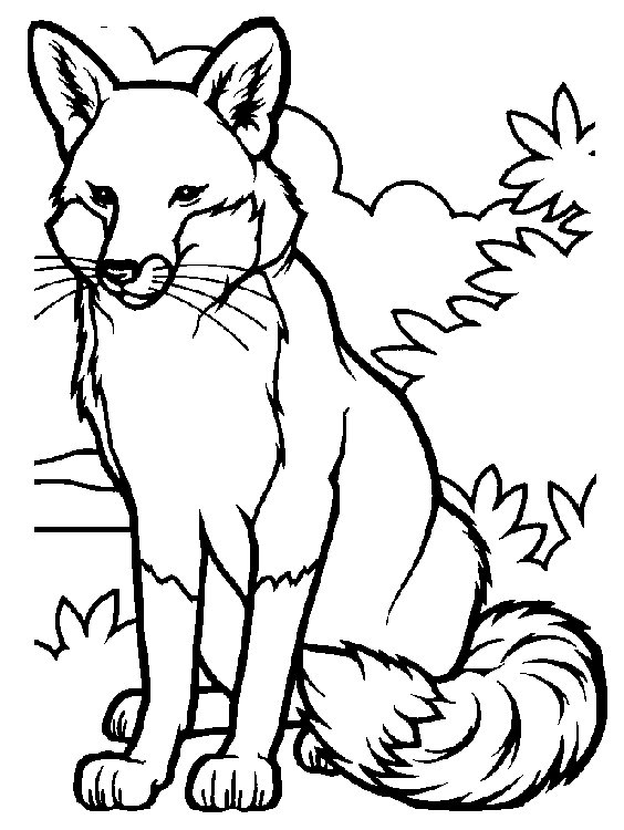 Fox Coloring Pages Best Of Baby Fox Coloring Pages Cute Fox 564x750 Fox Coloring Pages Best Of Baby Fox Coloring Pages Cute Fox