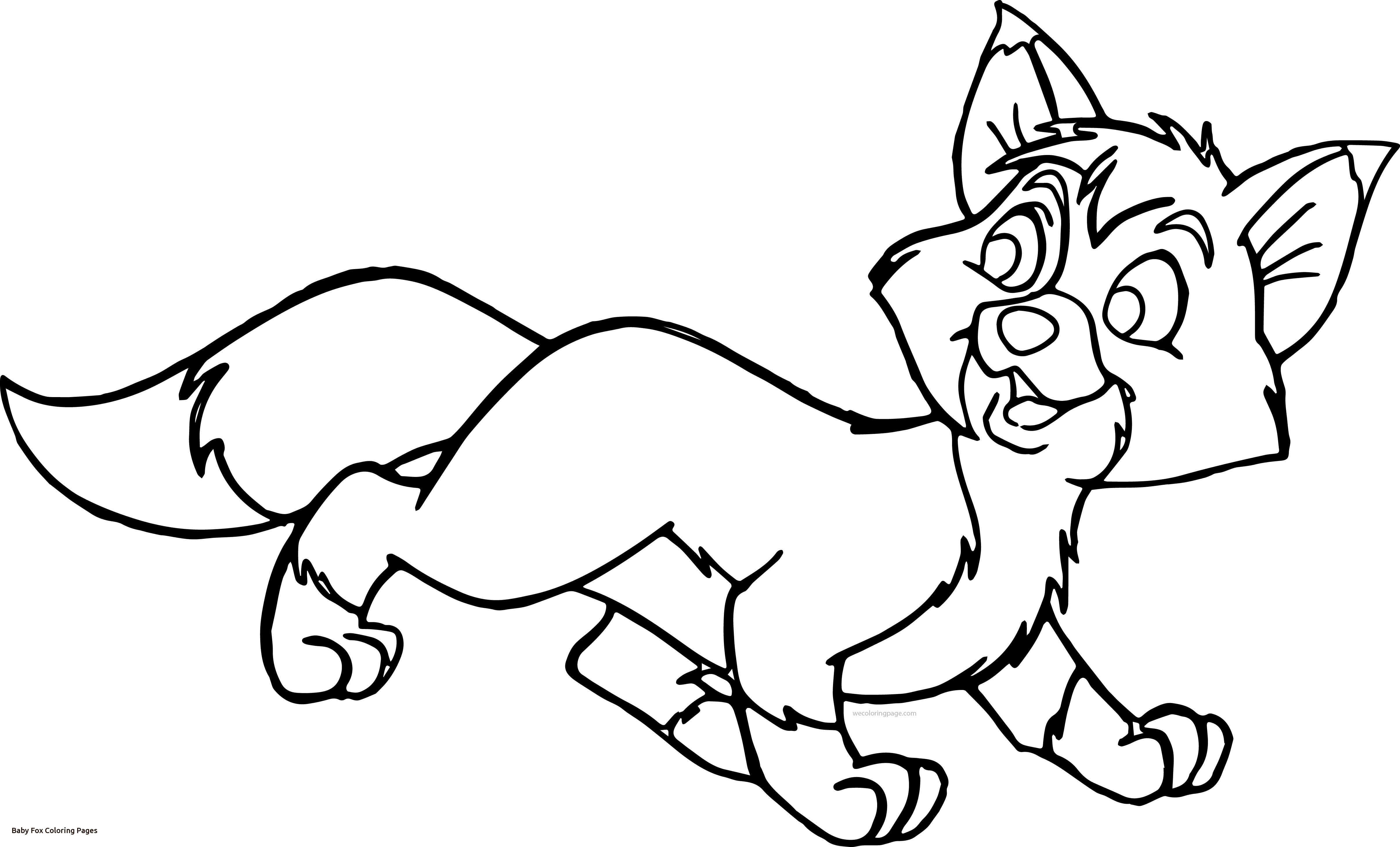 Impressive Baby Fox Coloring Pages 87 27f Of Cute Diaiz 4825x2918 Impressive Baby Fox Coloring Pages 87 27f Of Cute Diaiz