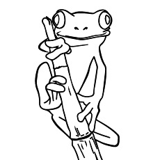 Cute Frog Coloring Pages