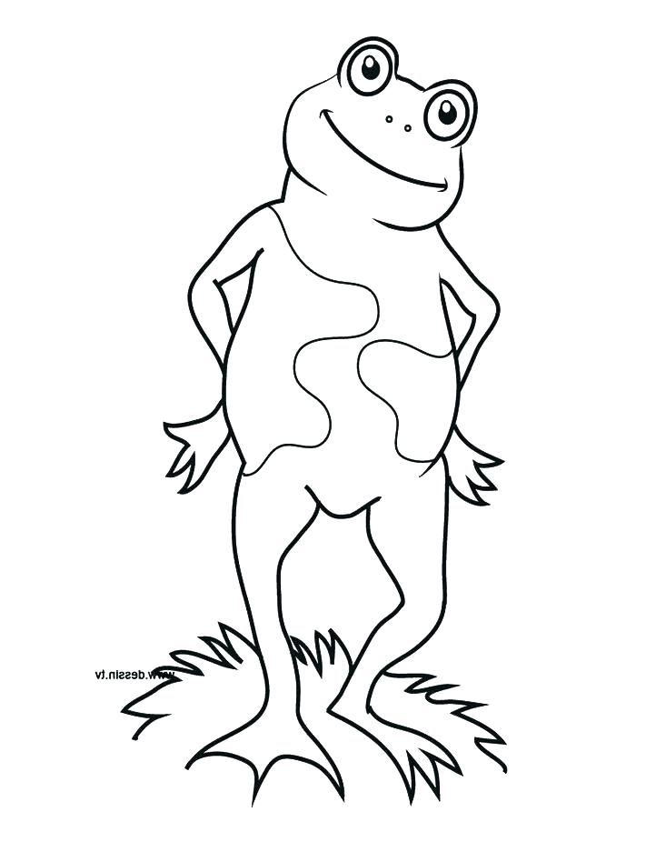 711x948 Cute Frog Colouring Pages Printable Coloring Free C