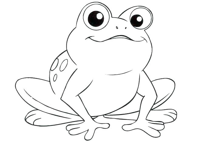 659x501 Cute Frogs Coloring Pages Printable Coloring Bullfrog Animal