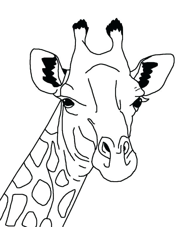 618x773 Giraffe Color Pages Cute Giraffe Coloring Pages Giraffe Coloring