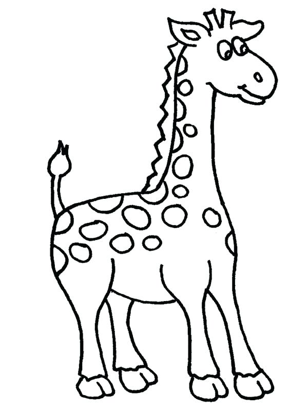 600x800 Giraffes Coloring Pages Amazing Giraffe Coloring Page Giraffe