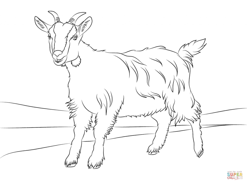 1024x764 Cute Goat For Coloring Pages