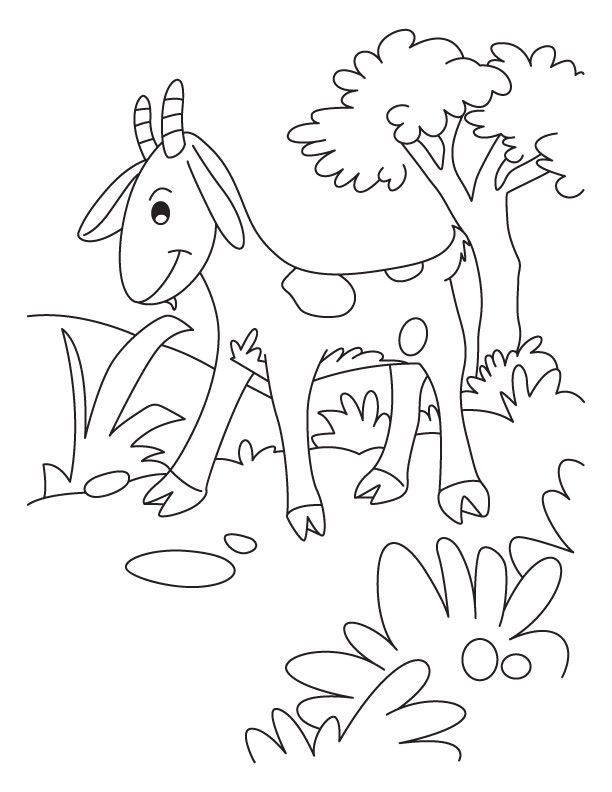 612x792 Free Cute Goat Coloring Pages Coloring