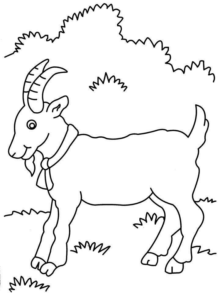 720x960 Free Cute Goat Coloring Pages Cute