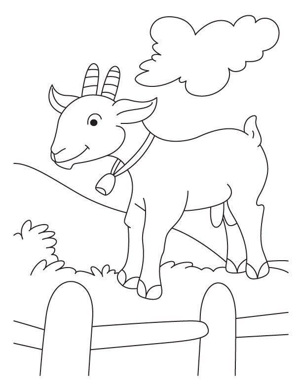 612x792 Pin By Shreya Thakur On Free Coloring Pages Goats