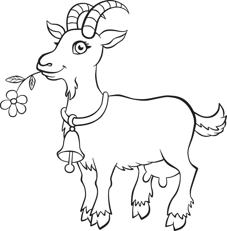 787x800 Coloring Goat