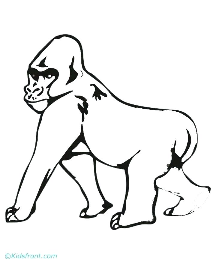 720x880 Gorilla Coloring Pages Gorilla Coloring Pages Coloring Site