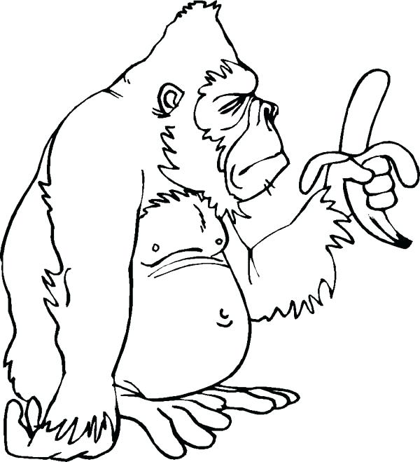 600x659 Gorilla Coloring Pages Gorilla Only Has One Banana Page