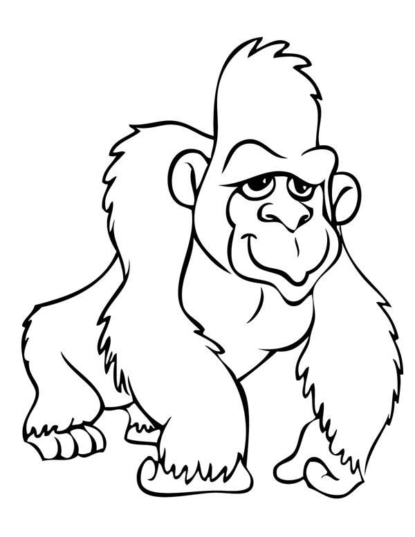 600x777 Gorilla Coloring Page
