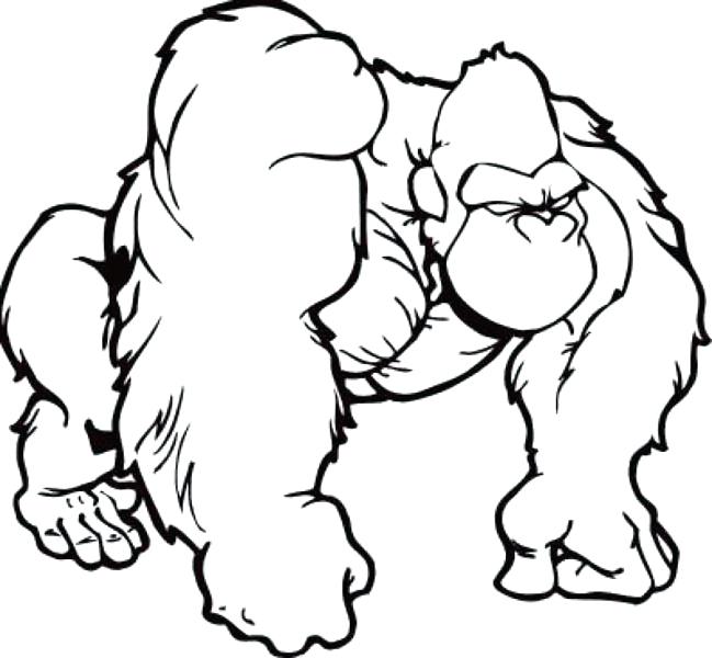 649x600 G G G Is For Brown Gorilla Coloring Page And Gorilla Coloring Page