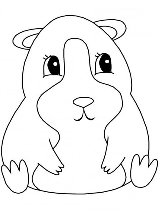Guinea Pig, Guinea Pig Sitting Coloring Page Quilters Way 600x800 Guinea Pig, Guinea Pig Sitting Coloring Page Quilters Way