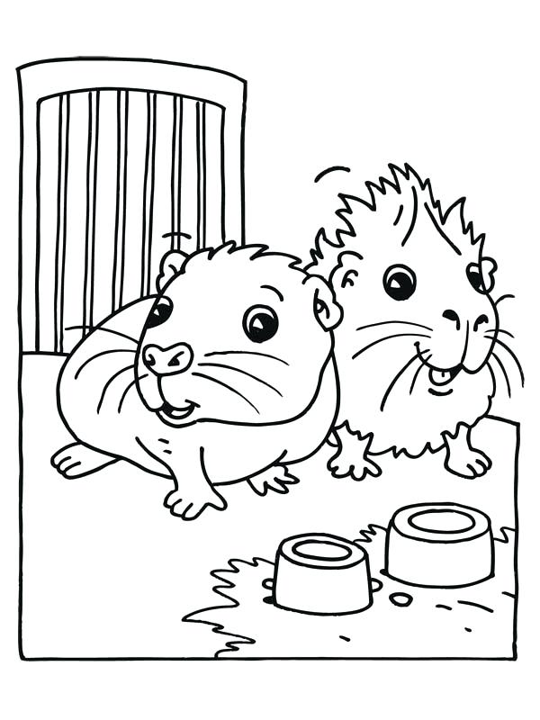 Guinea Pig Coloring Page Cute Baby Guinea Pig Coloring Page Guinea 600x800 Guinea Pig Coloring Page Cute Baby Guinea Pig Coloring Page Guinea