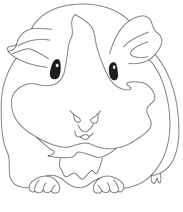 Guinea Pig Coloring Pages Baby Pig Coloring Pages Smiling Pig 600x695 Guinea Pig Coloring Pages Baby Pig Coloring Pages Smiling Pig