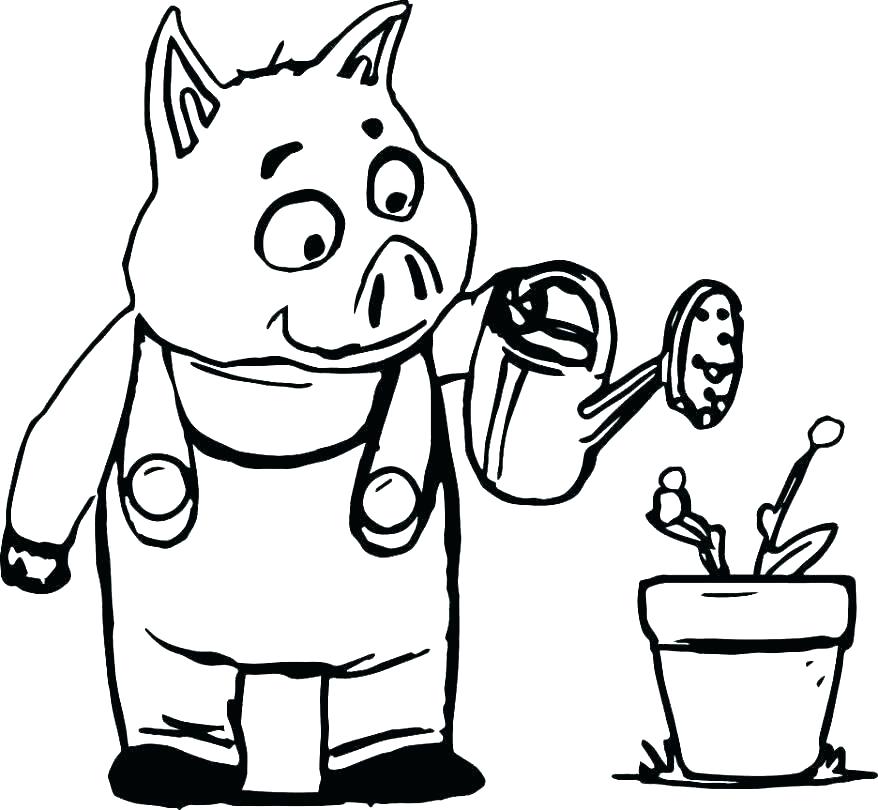 Three Little Pigs Coloring Pages Cute Guinea Pig Coloring Pages 878x810 Three Little Pigs Coloring Pages Cute Guinea Pig Coloring Pages