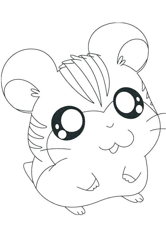 549x749 Gerbil Coloring Pages Hamster Coloring Pages Cute Hamster Coloring