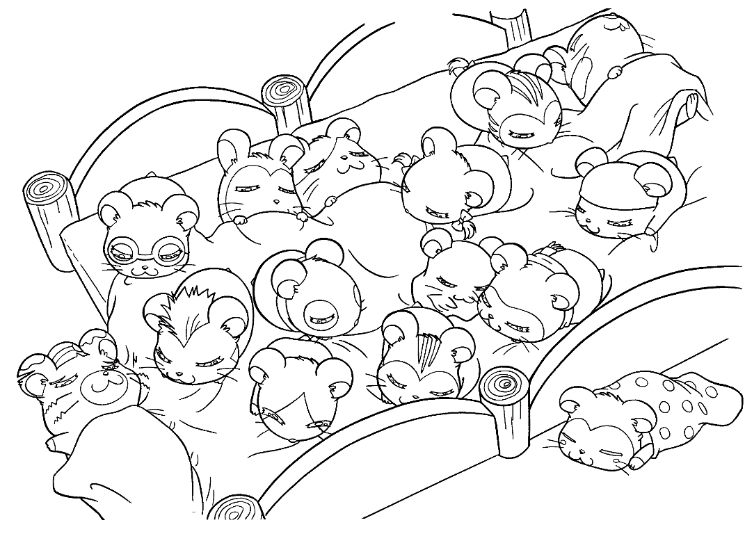 1071x768 Best Hamsters Coloring Pages Cute Design Great Collection