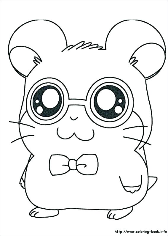 567x794 Hamster Coloring Page