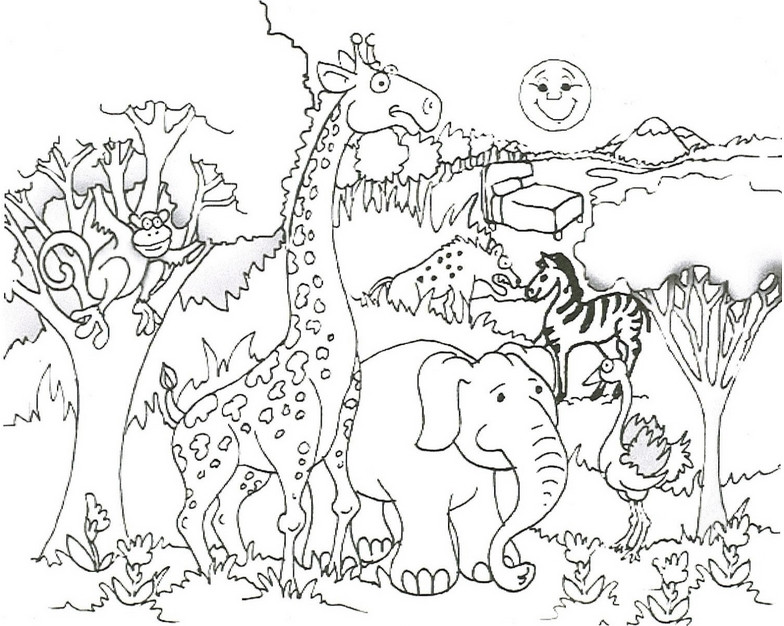 784x626 Hard Cute Coloring Pages Of Animals Best Of Hard Coloring Animals