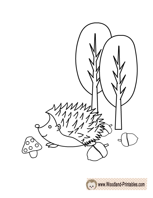 612x792 Free Printable Woodland Animals Coloring Pages