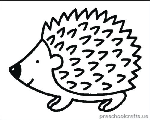501x402 Hedgehog Coloring Page Hedgehog Coloring Pages Outstanding Sonic