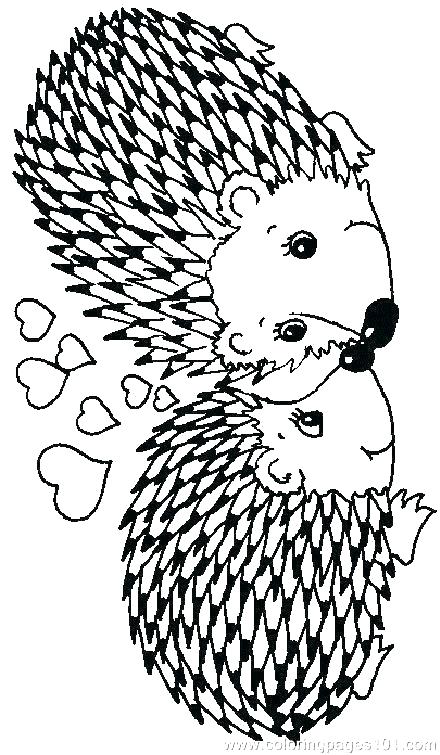440x755 Porcupine Coloring Pages Porcupine Coloring Page This Is Porcupine