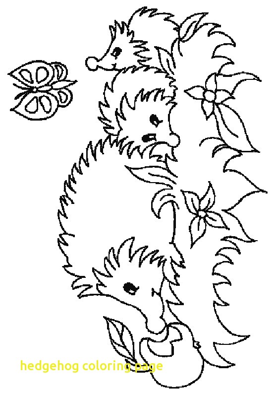 553x794 Cute Hedgehog Coloring Pages Archives