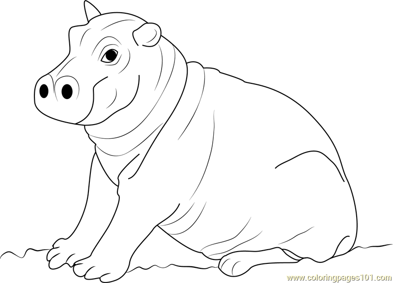 Hippopotamus Coloring Pages 800x577 Hippopotamus Coloring Pages
