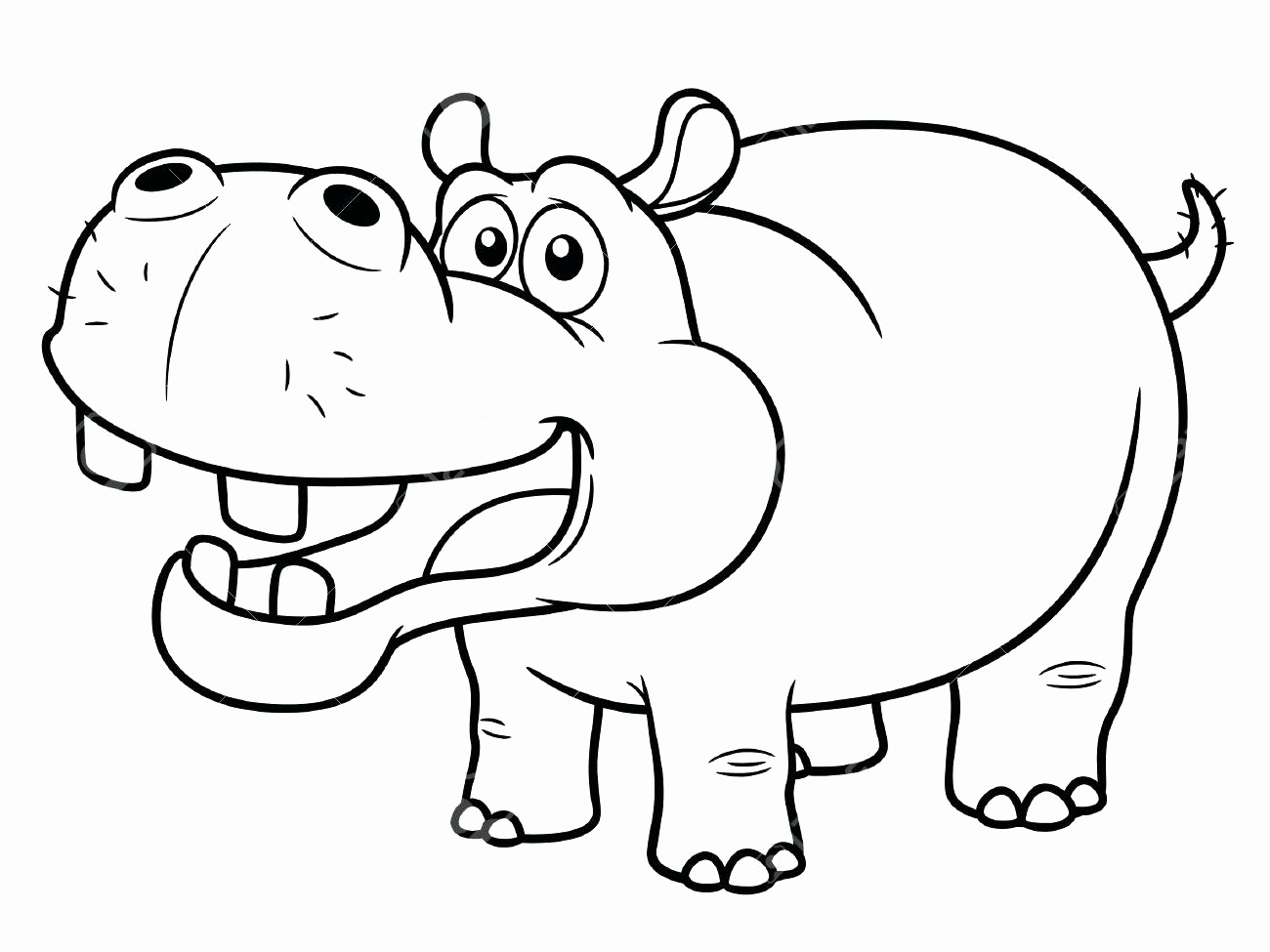 Cartoon Picture A Hippo Az Coloring Pages Cute Hippo Coloring 1300x975 Cartoon Picture A Hippo Az Coloring Pages Cute Hippo Coloring