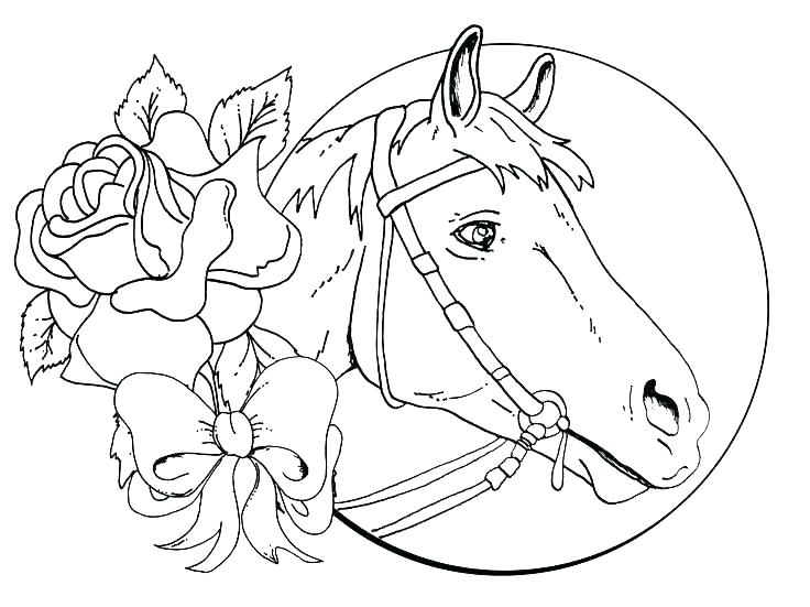 736x551 Cute Horse Coloring Pages Coloring Page Of Horse Cute Horse